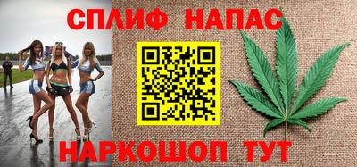 дмт Кингисепп