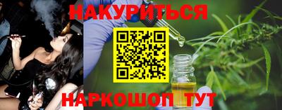дмт Кингисепп