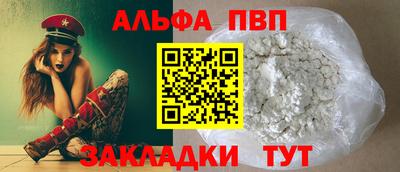 дмт Кингисепп