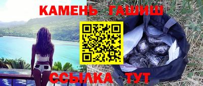 дмт Кингисепп