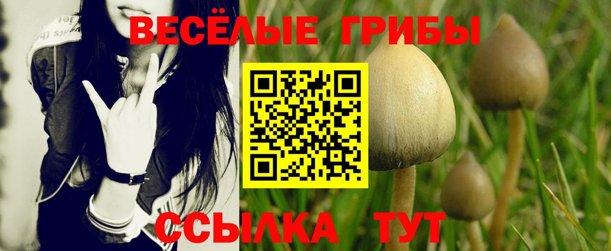 Галлюциногенные грибы мицелий  Вход с VPN  Ярцево 
