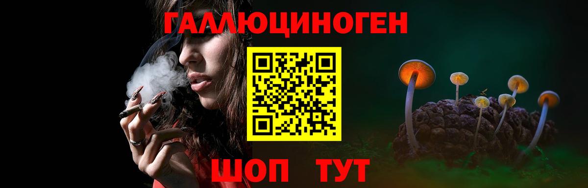 Псилоцибиновые грибы Magic Shrooms Ярцево