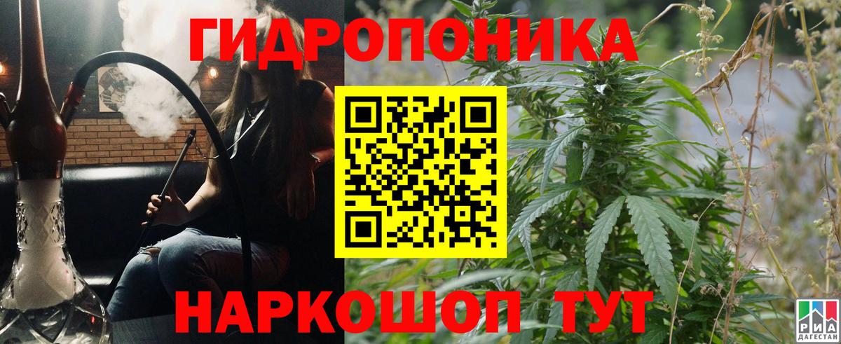 Каннабис OG Kush Ярцево